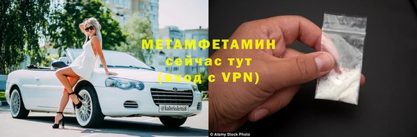 сатива Новозыбков