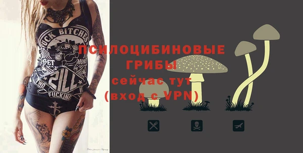 МДПВ Нязепетровск