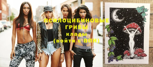 прущие грибы Няндома