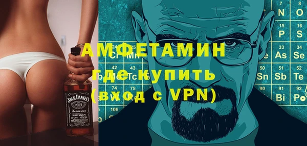 прущие грибы Няндома