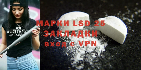сатива Новозыбков