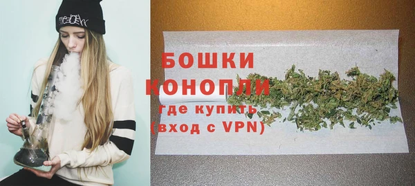 прущие грибы Няндома