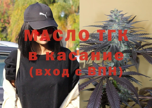 прущие грибы Няндома