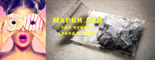 прущие грибы Няндома
