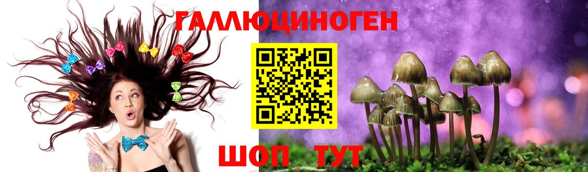 Саянск  где купить наркотик  Вход с VPN  Галлюциногенные грибы MAGIC MUSHROOMS 