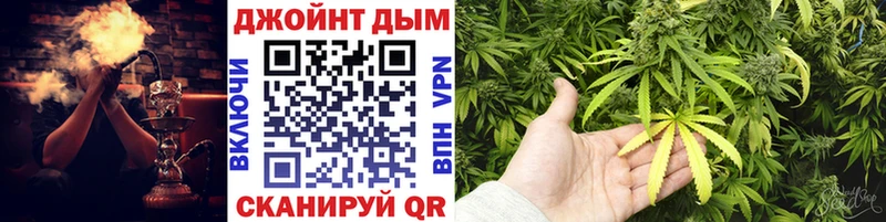 Конопля сатива Саянск